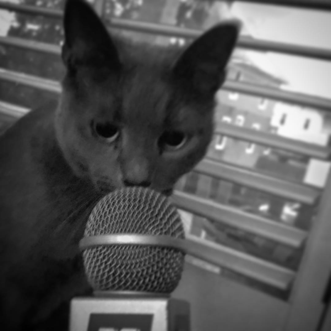 Purrcast